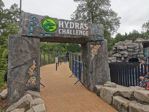 Hydra's Challenge