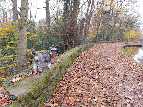 Haughton Dale Nature Reserve