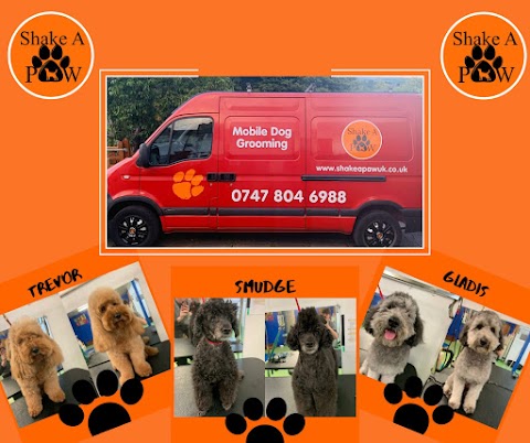 Shake A Paw Mobile Dog Grooming