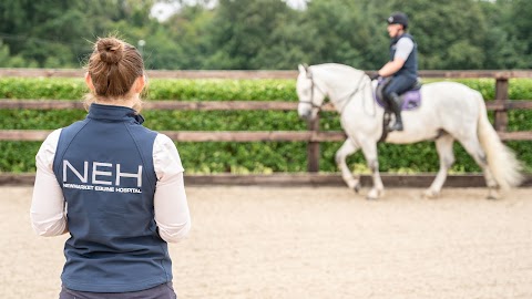 Newmarket Equine Hospital