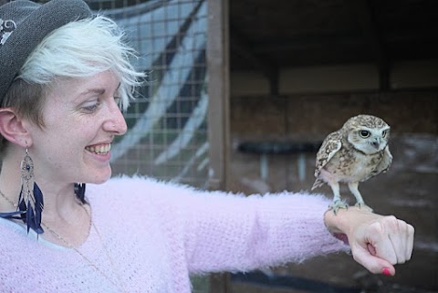 Bird on the Hand Falconry Experiences