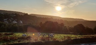 AFP Yorkshire