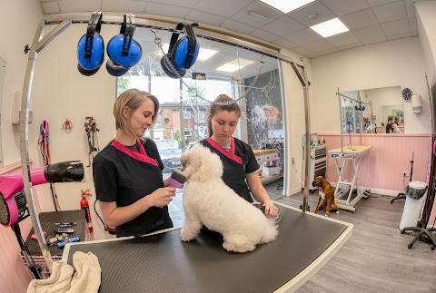 The Pet Retreat Grooming Salon - Bowdon