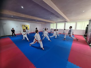 Kihonkai Karate Academy