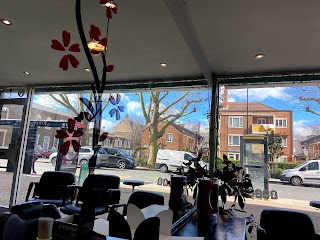 Holland Park Salon