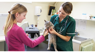 Littlecroft Vets, Bebington