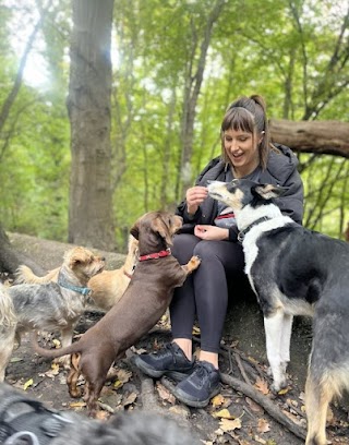 Waggy Trails Havering - Dog Walking and Pet Sitting