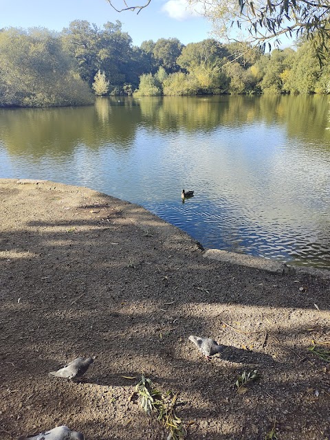 Southampton Common