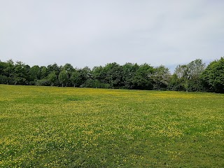 Stonepit Field (Great Linford)