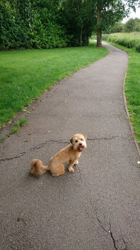 Walk the Dog West Bridgford.