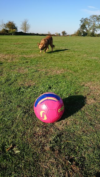 Harvington Kennels & Cattery