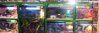 Wartell Bank Nursery & Aquatics