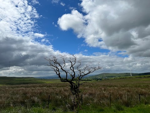 National Trust - Divis and the Black Mountain