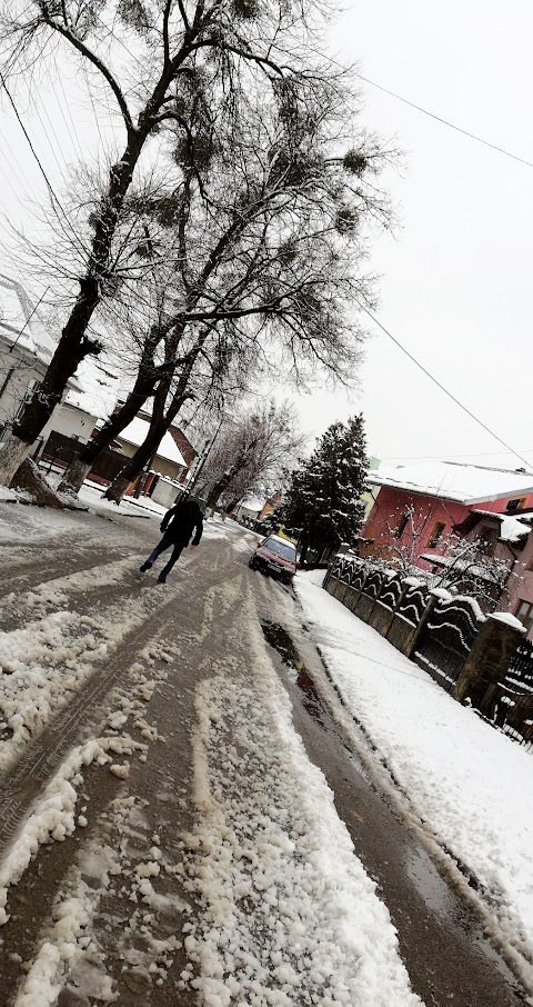 Стрийська Міська Ветеринарна Лікарня