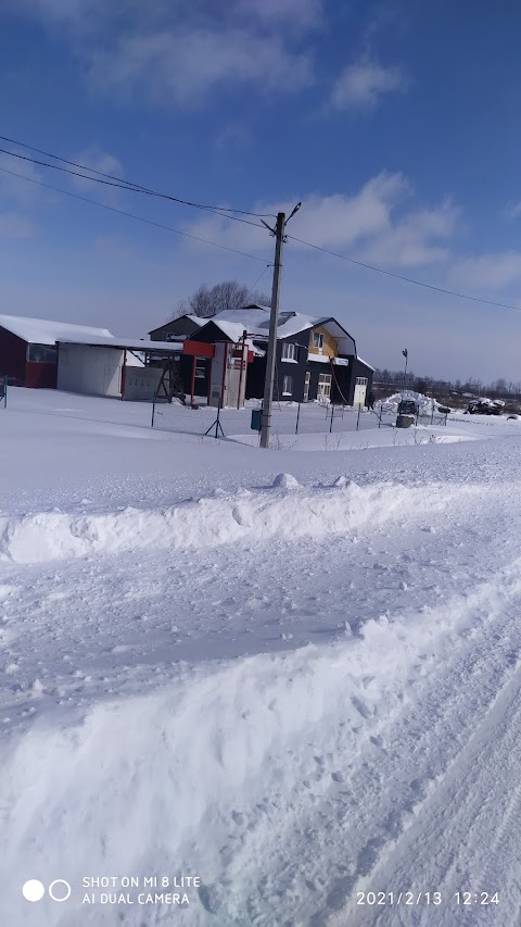 ПП Авто-М-Сервіс