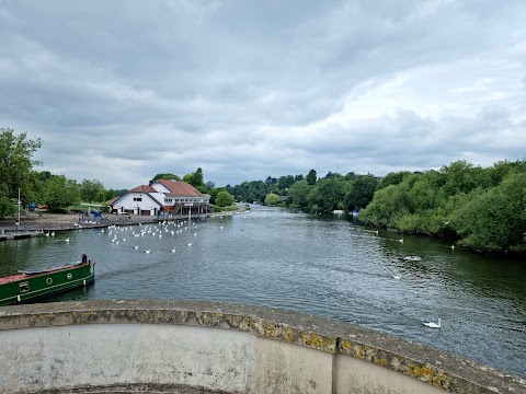 Persian Palace (Reading)