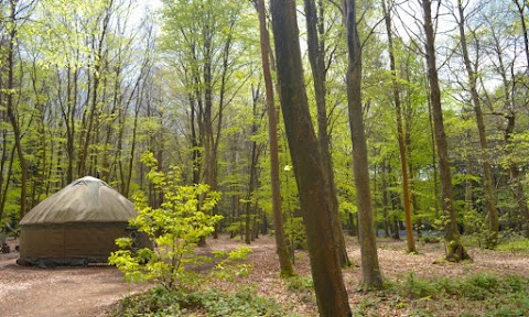 Adhurst Yurts + Adhurst Institute for Artisan and Outdoor Skills