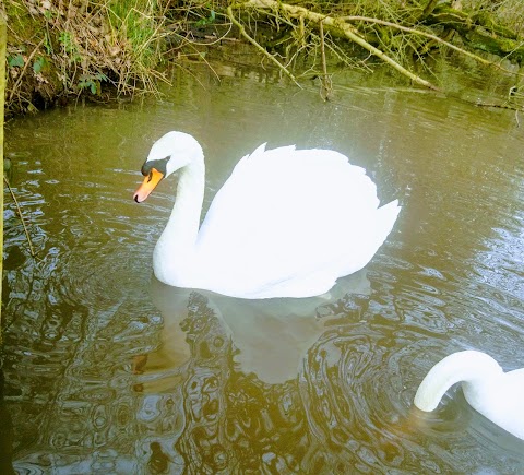 Keg Pool, Etherow