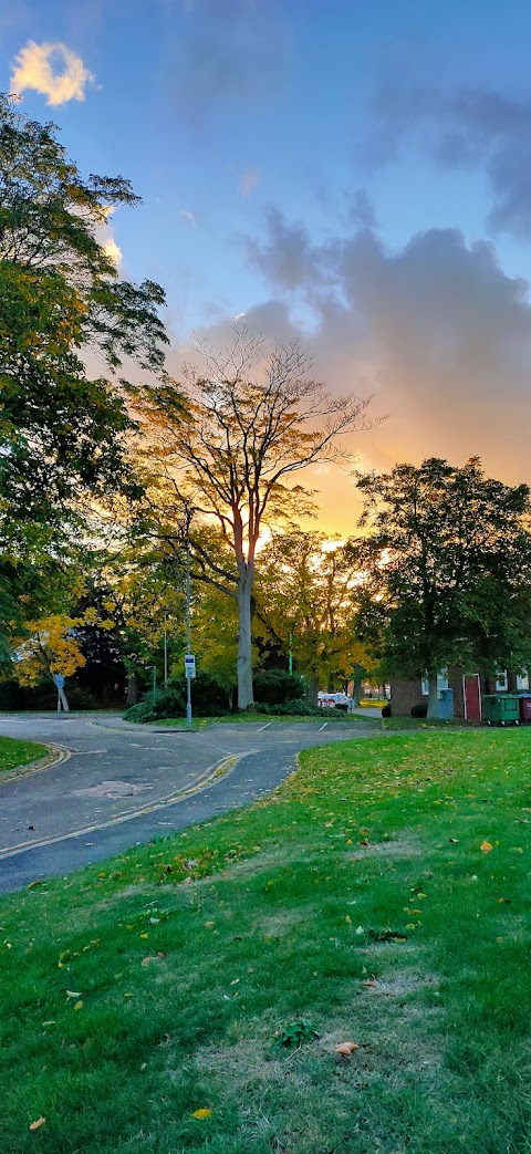 Cranfield University