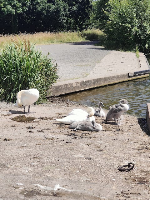 Sandwell Valley Country Park