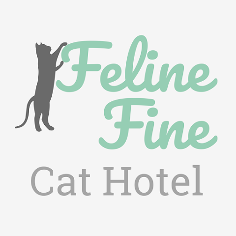 Feline Fine Luxury Cat Hotel