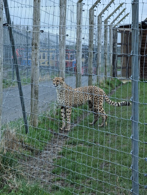 Hamerton Zoo Park