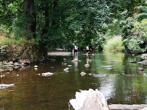 Wetton Mill Tea Rooms