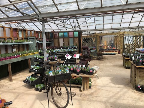 Fritton Plant Centre