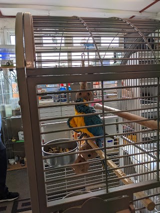 Heathrow Bird & Pet Centre