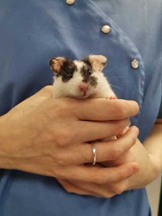 Ashfield House Veterinary Hospital, Long Eaton