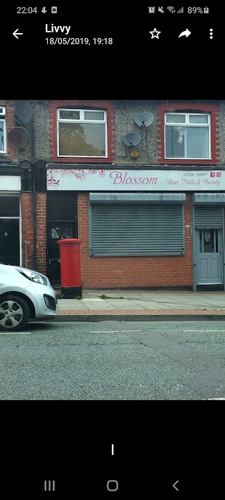 Blossom hair, nails and beauty