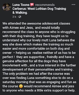 Cerberus: West Lothian Dog Training & Walking