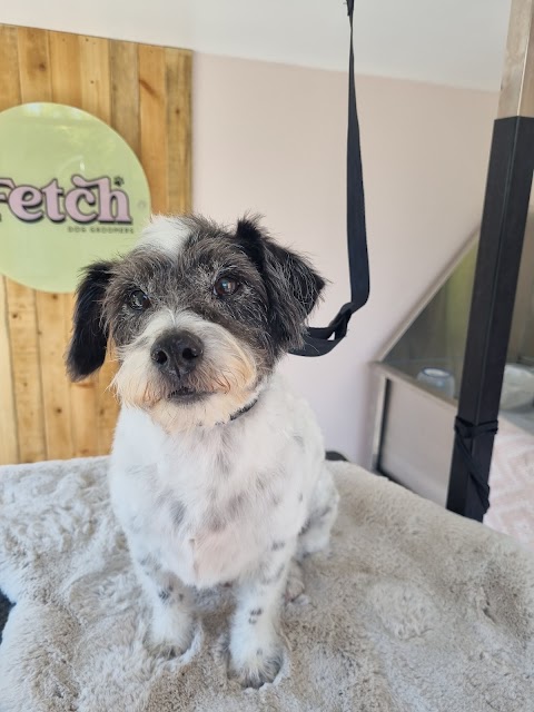 Fetch Dog Groomers