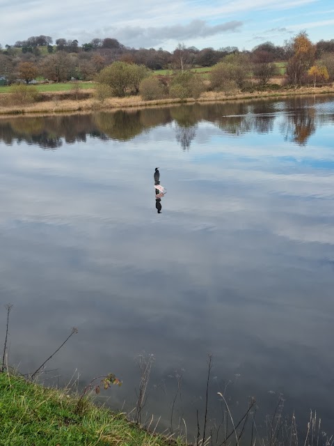 Pen-Y-fan Country Park