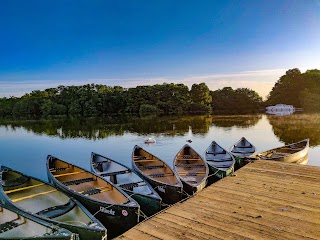 Salhouse Broad