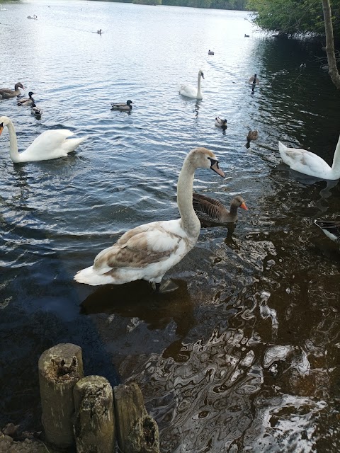 Charnwood Water Car Park