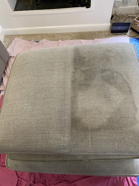 Absorb Carpet Cleaning