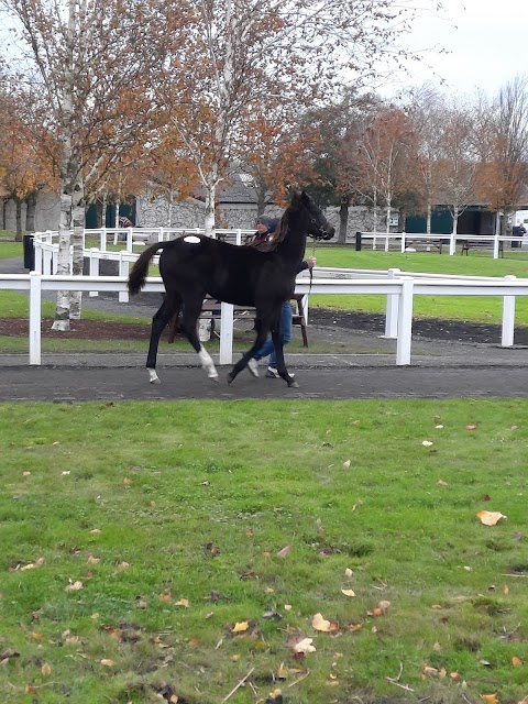 Tattersalls Country House