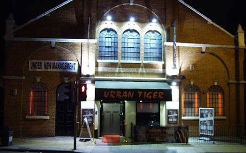 Urban Tiger