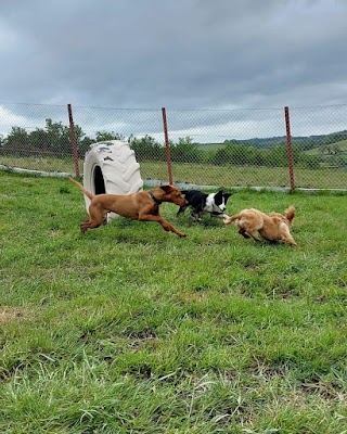 Wag Tail Barn