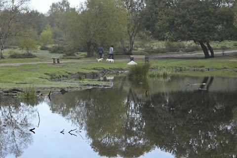 Little Bracebridge Pool