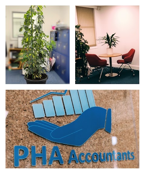 PHA Accountants