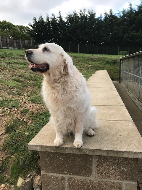 Crostwick Boarding Kennels & Cattery