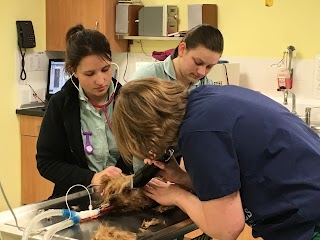 New Lodge Veterinary Centre