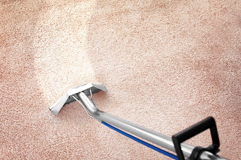 Brighton Carpet Cleaning Services