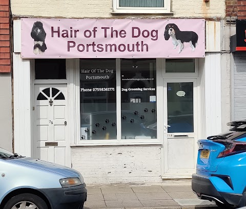 Hair of the dog Portsmouth