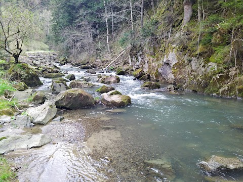 Джерело "Жива вода"