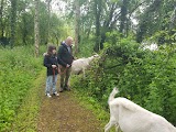 Old Tree Nursery & Animal Sanctuary