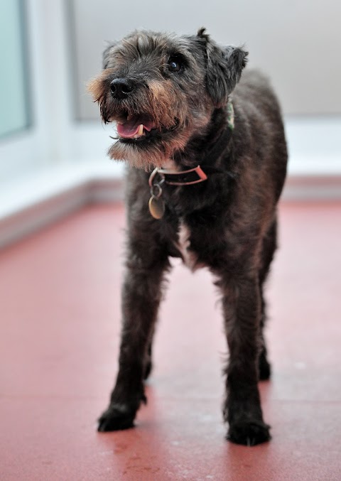 Severn Veterinary Centre, Tybridge House