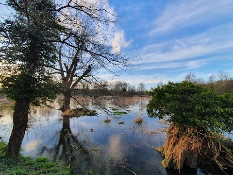 University of East Anglia